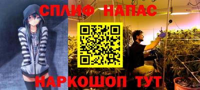 дживик Анапа