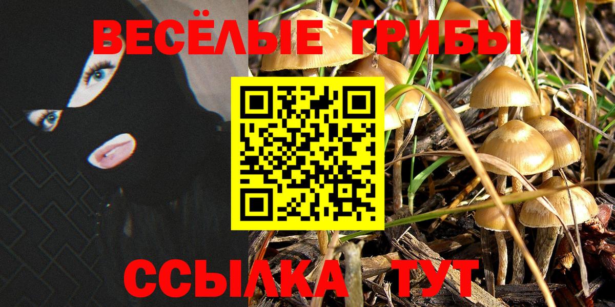 Кудымкар  Галлюциногенные грибы ЛСД  Вход с VPN  Галлюциногенные грибы мицелий 