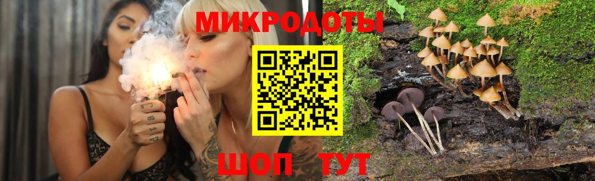 Псилоцибиновые грибы Psilocybine cubensis Кудымкар